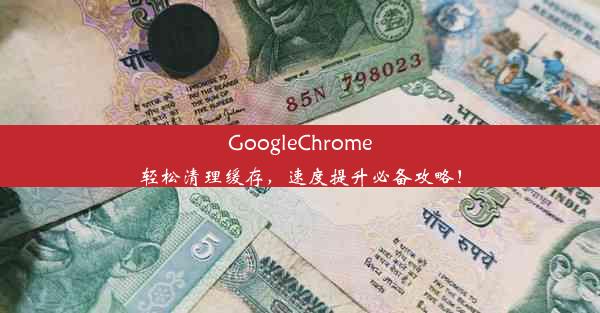 GoogleChrome轻松清理缓存，速度提升必备攻略！