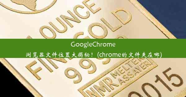 GoogleChrome浏览器文件位置大揭秘！(chrome的文件夹在哪)