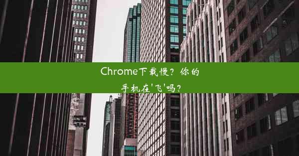 Chrome下载慢？你的手机在'飞'吗？