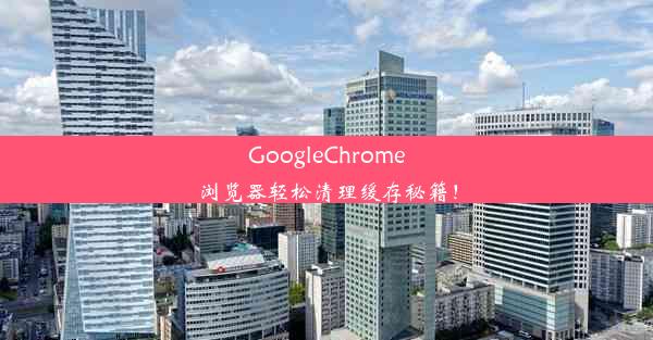 GoogleChrome浏览器轻松清理缓存秘籍！