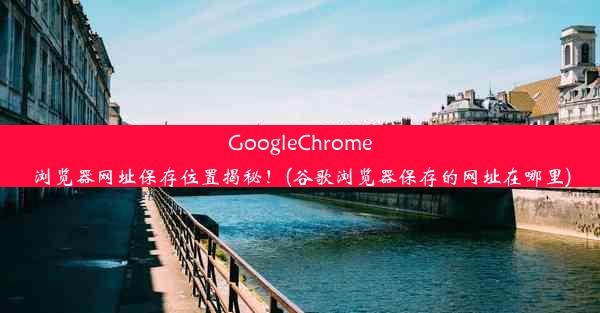 GoogleChrome浏览器网址保存位置揭秘！(谷歌浏览器保存的网址在哪里)