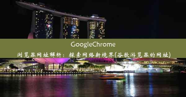 GoogleChrome浏览器网址解析：探索网络新境界(谷歌游览器的网址)