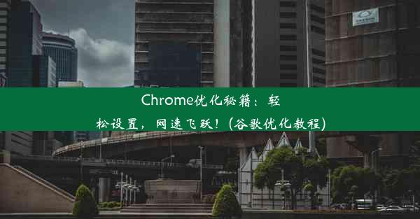 Chrome优化秘籍：轻松设置，网速飞跃！(谷歌优化教程)