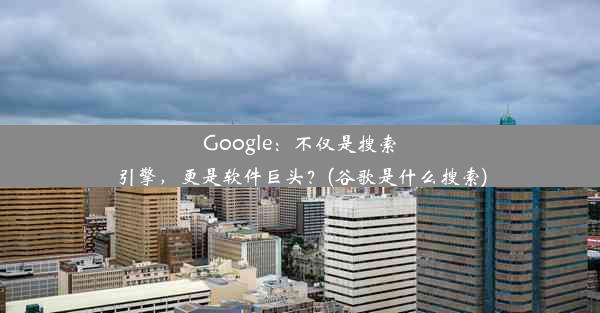 Google：不仅是搜索引擎，更是软件巨头？(谷歌是什么搜索)