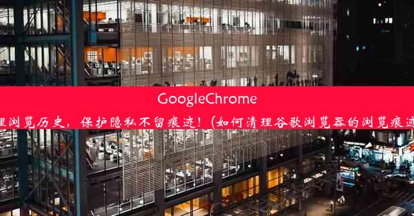 GoogleChrome轻松清理浏览历史，保护隐私不留痕迹！(如何清理谷歌浏览器的浏览痕迹和缓存)