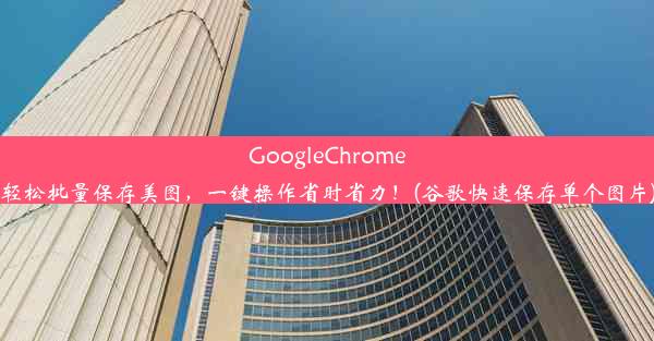 GoogleChrome轻松批量保存美图，一键操作省时省力！(谷歌快速保存单个图片)