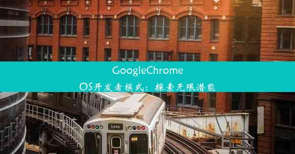 GoogleChromeOS开发者模式：探索无限潜能