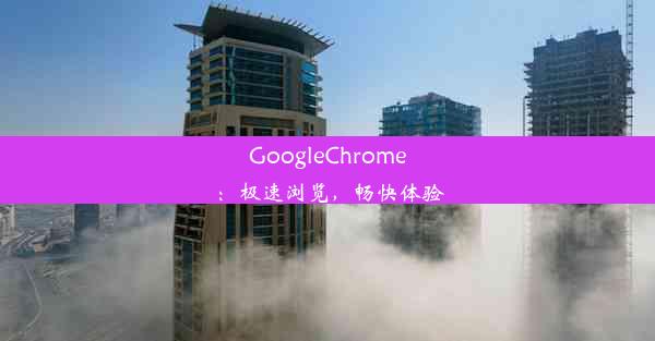 GoogleChrome：极速浏览，畅快体验