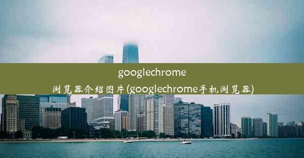 googlechrome浏览器介绍图片(googlechrome手机浏览器)