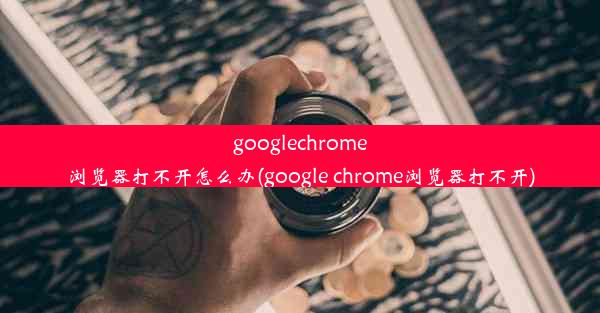 googlechrome浏览器打不开怎么办(google chrome浏览器打不开)