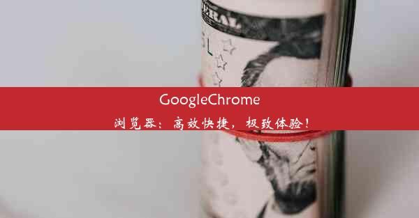 GoogleChrome浏览器：高效快捷，极致体验！