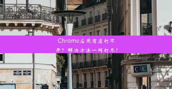 Chrome应用商店打不开？解决方法一网打尽！