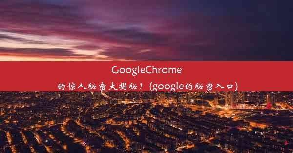 GoogleChrome的惊人秘密大揭秘！(google的秘密入口)