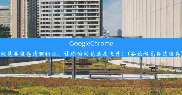 GoogleChrome浏览器缓存清理秘诀，让你的浏览速度飞升！(谷歌游览器清缓存)