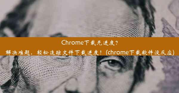 Chrome下载无进度？解决难题，轻松追踪文件下载进度！(chrome下载软件没反应)