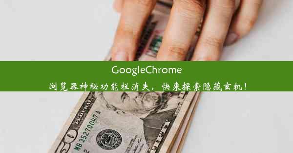 GoogleChrome浏览器神秘功能栏消失，快来探索隐藏玄机！