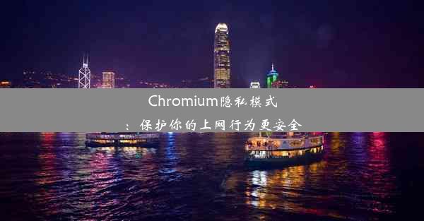 Chromium隐私模式：保护你的上网行为更安全