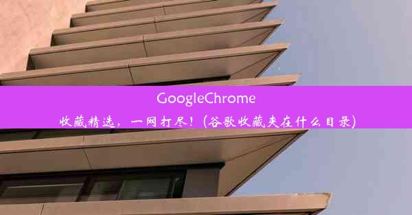 GoogleChrome收藏精选，一网打尽！(谷歌收藏夹在什么目录)