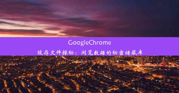 GoogleChrome缓存文件探秘：浏览数据的秘密储藏库