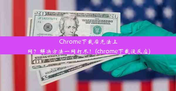 Chrome下载后无法上网？解决方法一网打尽！(chrome下载没反应)