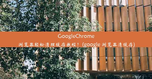 GoogleChrome浏览器轻松清理缓存教程！(google 浏览器清缓存)