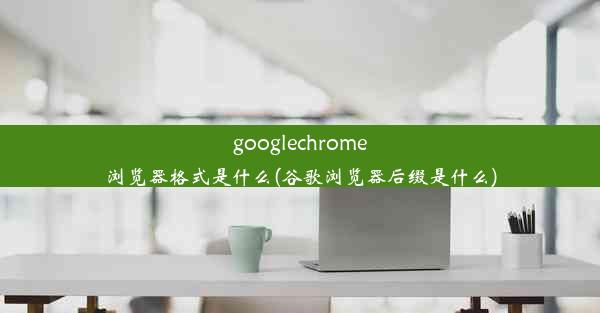 googlechrome浏览器格式是什么(谷歌浏览器后缀是什么)