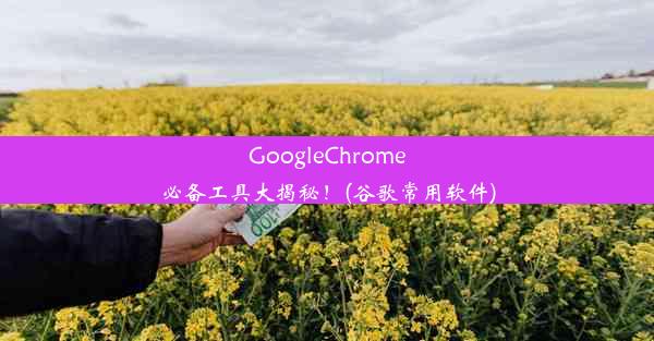 GoogleChrome必备工具大揭秘！(谷歌常用软件)