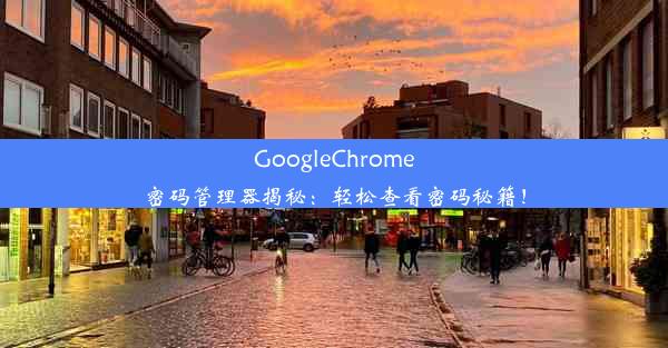 GoogleChrome密码管理器揭秘：轻松查看密码秘籍！