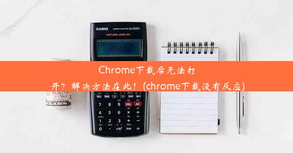 Chrome下载后无法打开？解决方法在此！(chrome下载没有反应)