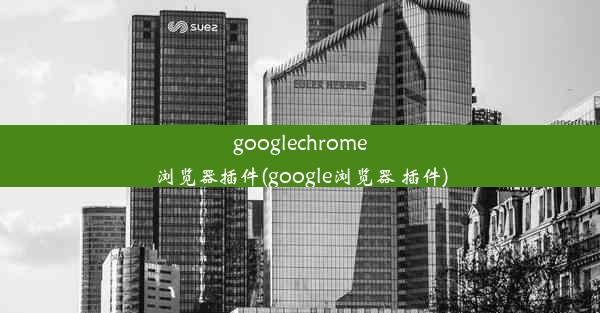 googlechrome浏览器插件(google浏览器 插件)