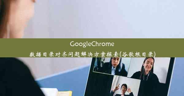 GoogleChrome数据目录对齐问题解决方案探索(谷歌根目录)