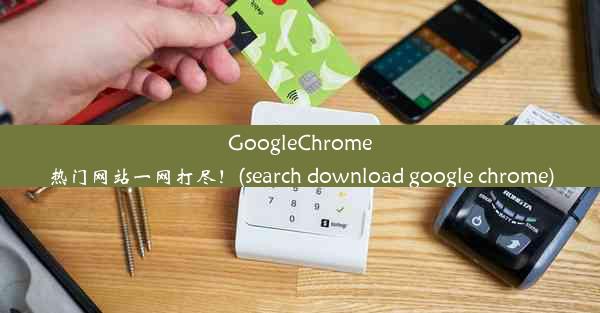 GoogleChrome热门网站一网打尽！(search download google chrome)