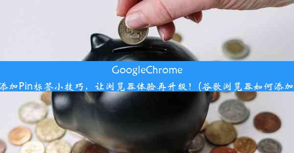 GoogleChrome轻松添加Pin标签小技巧，让浏览器体验再升级！(谷歌浏览器如何添加标签)