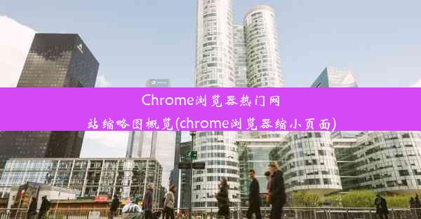 Chrome浏览器热门网站缩略图概览(chrome浏览器缩小页面)