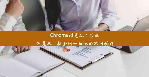 Chrome浏览器与谷歌浏览器：探索同一血脉的不同称谓