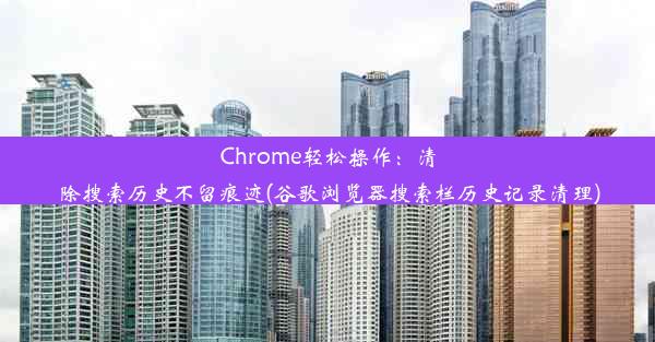 Chrome轻松操作：清除搜索历史不留痕迹(谷歌浏览器搜索栏历史记录清理)