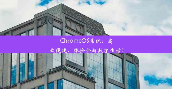 ChromeOS系统：高效便捷，体验全新数字生活！