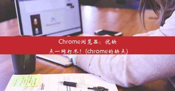 Chrome浏览器：优缺点一网打尽！(chrome的缺点)