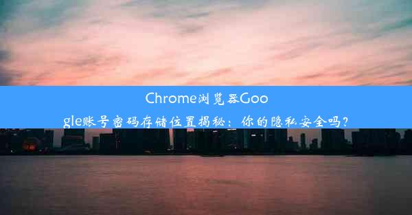 Chrome浏览器Google账号密码存储位置揭秘：你的隐私安全吗？