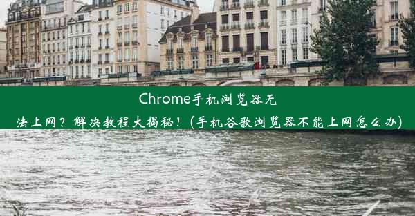 Chrome手机浏览器无法上网？解决教程大揭秘！(手机谷歌浏览器不能上网怎么办)