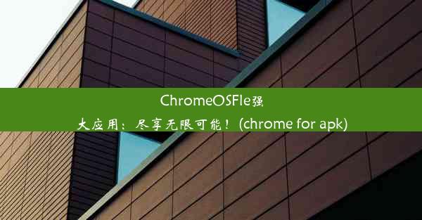 ChromeOSFle强大应用：尽享无限可能！(chrome for apk)