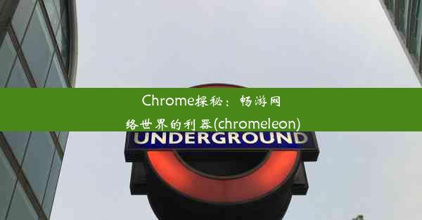 Chrome探秘：畅游网络世界的利器(chromeleon)