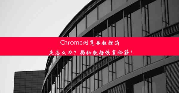 Chrome浏览器数据消失怎么办？揭秘数据恢复秘籍！