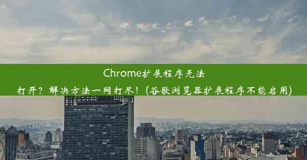 Chrome扩展程序无法打开？解决方法一网打尽！(谷歌浏览器扩展程序不能启用)