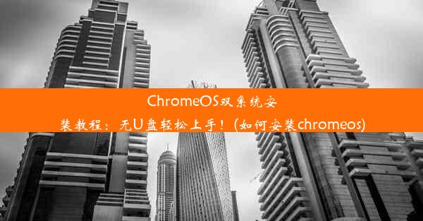 ChromeOS双系统安装教程：无U盘轻松上手！(如何安装chromeos)