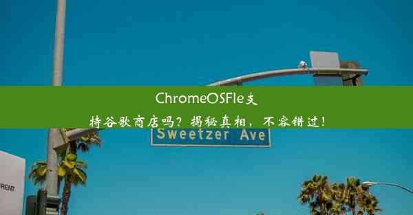 ChromeOSFle支持谷歌商店吗？揭秘真相，不容错过！