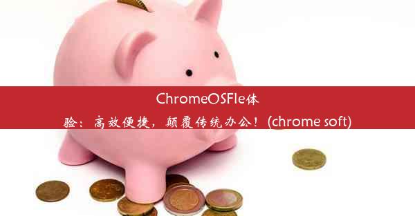 ChromeOSFle体验：高效便捷，颠覆传统办公！(chrome soft)