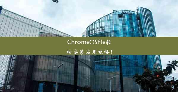 ChromeOSFle轻松安装应用攻略！