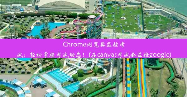 Chrome浏览器监控考试：轻松掌握考试动态！(在canvas考试会监控google)