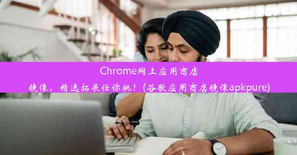 Chrome网上应用商店镜像，精选拓展任你挑！(谷歌应用商店镜像apkpure)